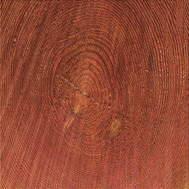 Ahgly Company Tapis d'Intérieur Lavable à la Machine, Carré, Transitionnel, Orange Rouge Orange, Tapis de Zone, 5 Pieds Carré