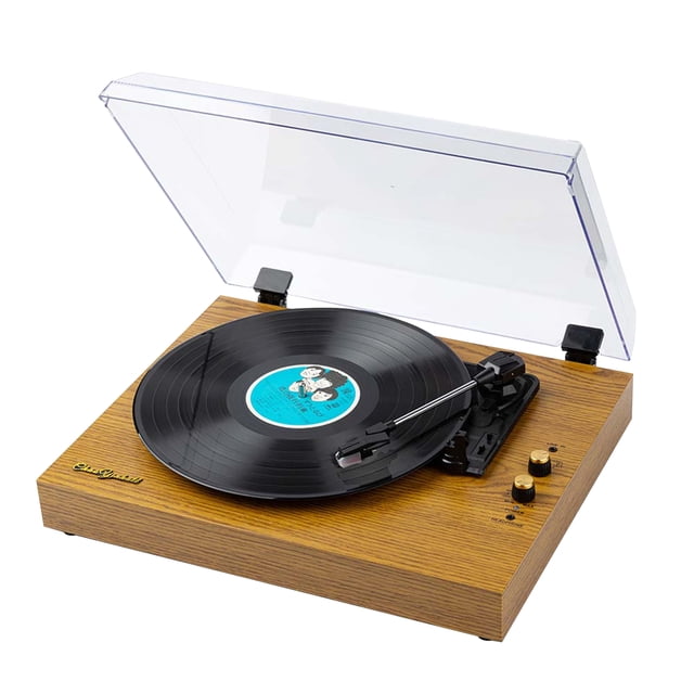 Vinyl Records LP Turntable Retro Record Player Built-in Speakers Vintage