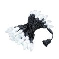 thumbnail image 1 of Novelty Lights 70 Light C6 LED Christmas Mini Light Set,Outdoor Lighting Patio Party String Lights, Pure White, Black Wire, 24 Feet, 1 of 2