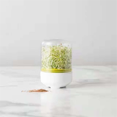 thumbnail image 3 of Countertop Sprouters Sprout Growing Kit Reusable Household Kitchen Bean Plants Sprouting System Seeds Container Supplies, 3 of 7