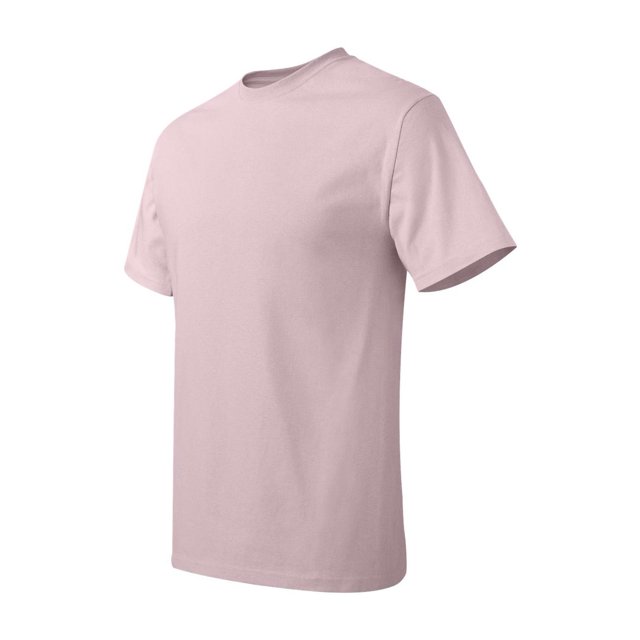 Hanes Men's Authentic-T T-Shirt - 5250T (Pack Of 3)