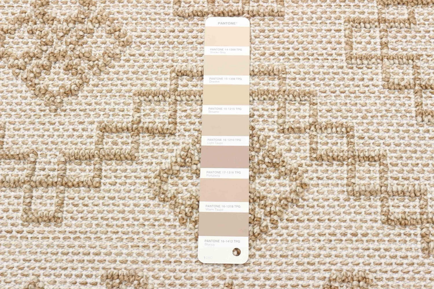 Tapis ECARPET Style Jute pour Chambre à Coucher, Salon