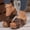 Brown, variant on Gspmoly Slides for Woman, Women’S Casual Round-Toe Sandals with Non-Slip Sole, Breathable Lining & 6.5Cm Heel - Comfy Beach Shoes for Daily Wear, Indoor & Outdoor, Sizes 36-43, 1 Pair Womens Slippers