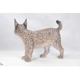 thumbnail image 4 of Décoration de Jardin Statue d'Animal Statue de Lynx, 4 of 4
