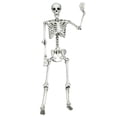 thumbnail image 2 of Gymax Full Body Halloween Skeleton 5.4ft Life Size w/ Hanging Rope Movable Joints, 2 of 10