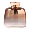 thumbnail image 1 of GROWTH TANK Glass Planter Vase Flower Plant Pot Terrarium Container 11x9cm Mouth 4cm, 1 of 8