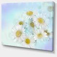 thumbnail image 2 of White Gerbera Flowers on Light Blue - Large Floral Canvas Artwork, 2 of 4