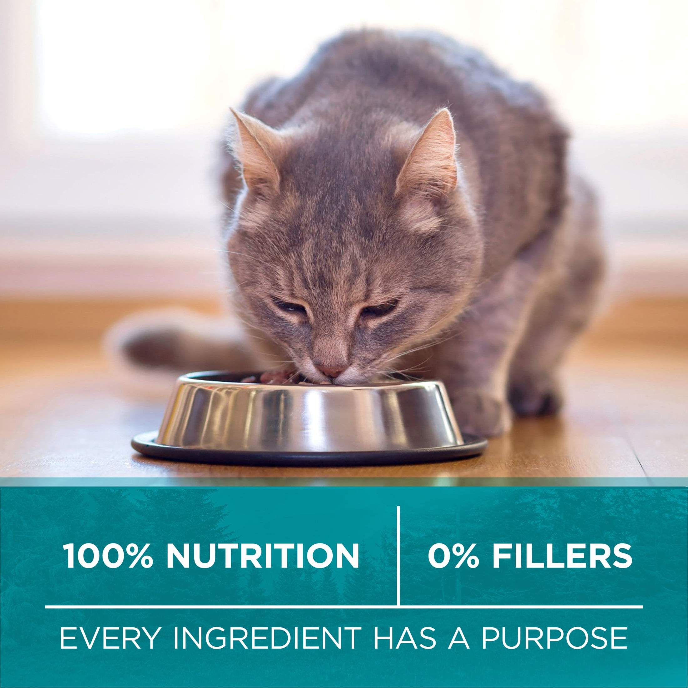 Purina ONE Véritable Instinct Poulet Sans Grains, Nourriture Sèche pour Chats 1.45kg