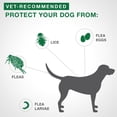 thumbnail image 4 of Advantage II Flea Treatment for Small Dogs (4 doses), 4 of 6