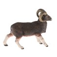 thumbnail image 4 of KLKCMS 1pc Realistic Animal Model Plastic Farm Figures Educational Learn Toy argali, 4 of 7