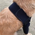 thumbnail image 4 of Redempat Effective Dog Elbow Protector Ensuring Pet S Safety Durable Convenient Brace Protector Shoulder Black L 1Set, 4 of 6