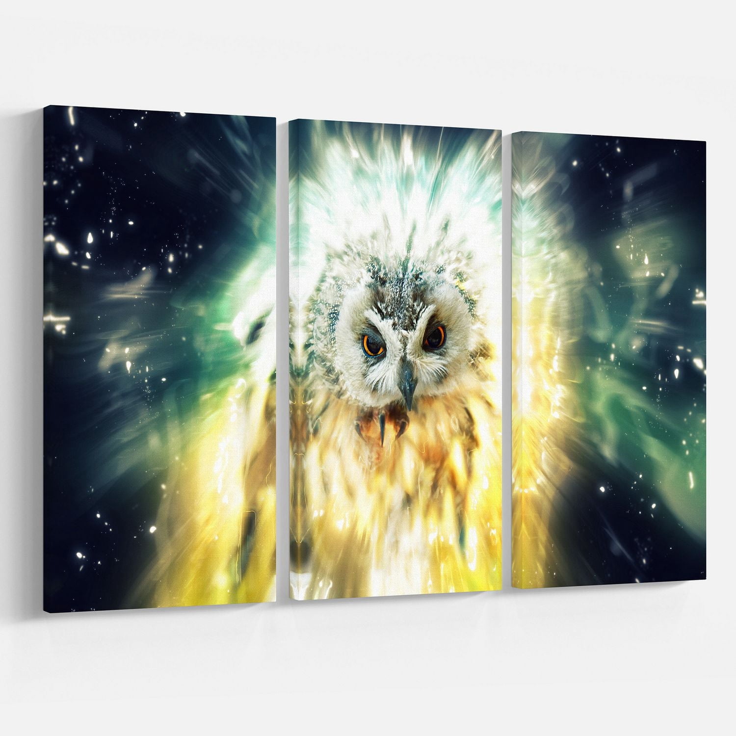Design Art Hibou Coloré Art Sur Toile