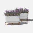 thumbnail image 2 of Veradek Demi Series Raised 30" Long Plastic-Stone Planter - (White/Brown, 2 Pack), 2 of 8