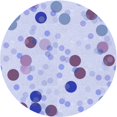 thumbnail image 1 of Ahgly Company Machine Washable Indoor Round Transitional Heavenly Blue Area Rugs, 3' Round, 1 of 7