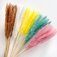 thumbnail image 2 of Artificial Dried Pampas Grass Realistic Vibrant Color Easy Maintenance Wedding Centerpiece Pampas Grass Fake Plant Decor, 2 of 7