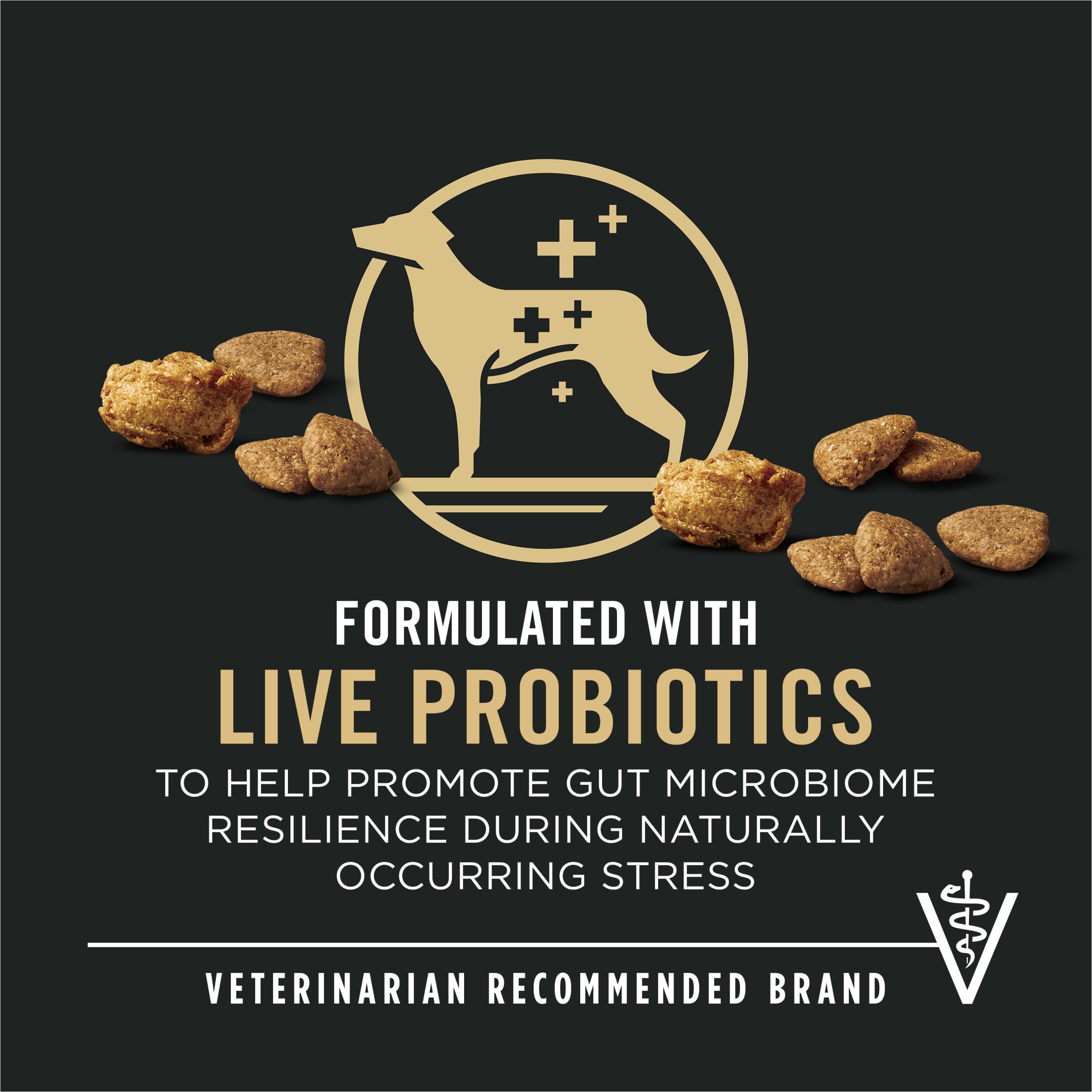 Purina Pro Plan Complete Essentials Bouchées à la viande Dinde et riz, Nourriture Sèche pour Chien, 6.8 kg