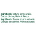 thumbnail image 3 of Perrier Lemon Sparkling Carbonated Water – 6x1 L Plastic Bottle, 3 of 10