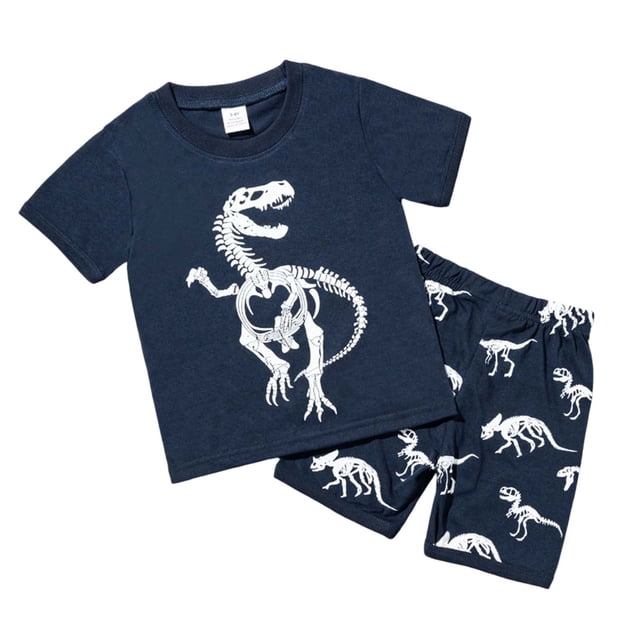 Vêtements Garçon Enfant Vêtements d'Été T-Shirt Dinosaure à Col Rond et Ensemble de Shorts Pyjama Garçon 5T