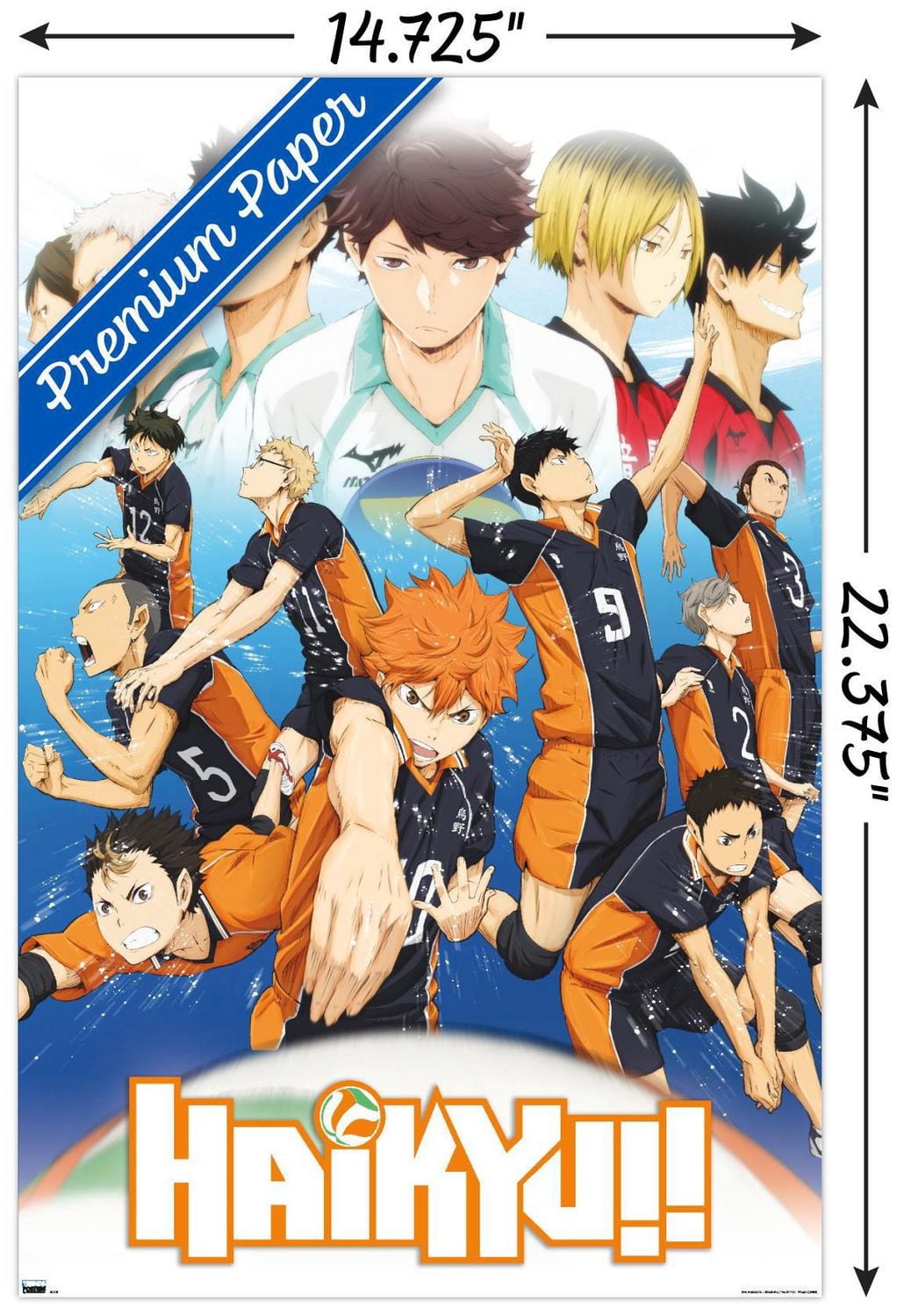 Haikyu!! - Key Art 2 Wall Poster
