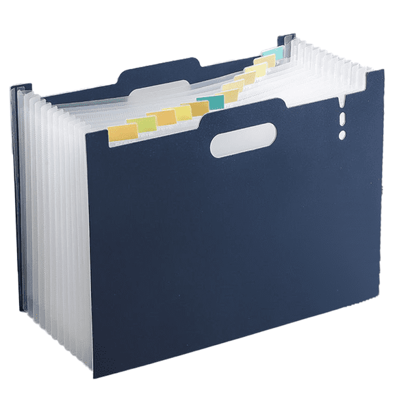 TAIWO Expanding File Organizer, Paper Organizer Folder, Document Organizer Folder, Multicolor