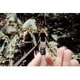 thumbnail image 3 of EMTEC carte mémoire micro-SD classe 10 U1 EMTEC 64 Go, 3 of 3