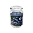 thumbnail image 1 of 18oz Blueberry Candle, 1 of 1
