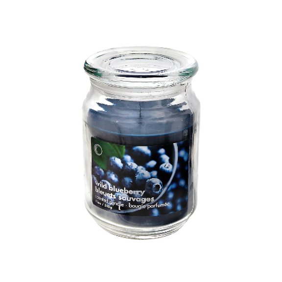 18oz Blueberry Candle