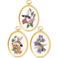 thumbnail image 2 of Janlynn 004-0864 Hummingbirds cross Stitch Supplies, Multi-colored, 2 of 2