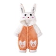 thumbnail image 1 of Diconna Infant Baby Fuzzy Bunny Costume Long Sleeve Hood Coat Button Down Warm Rabbit Romper, 1 of 9