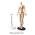 thumbnail image 2 of fastboy Adjustable Doll Stand Stable And Durable Holder For Displaying Dolls And Bears L 22cm, 2 of 6