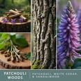 thumbnail image 3 of Cubes de cire parfumée ScentSationals - Bois de patchouli, 3 of 6