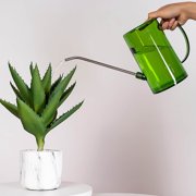 pstuiky Long Spout Watering Can 1.5L Large Capacity, Measurement Markings, Lightweight Plastic Precise Pouring for Indoor Plants, Succulents, Flowers