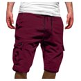 thumbnail image 1 of Shorts Cargo pour Hommes Grande Taille à Multiples Poches, Coupe Décontractée, Shorts d'Été pour la Plage, 1 of 8