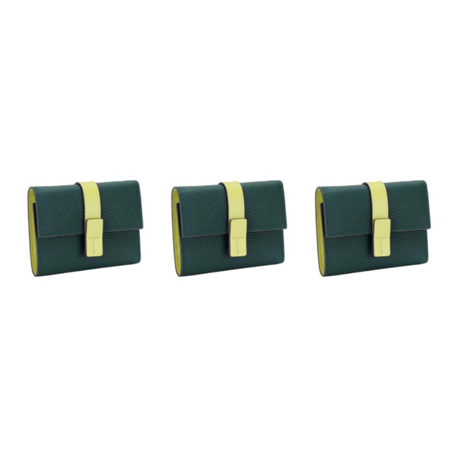 pitrice Leather Women Purse Rectangular Trifold for Zipper Hasp Stylish Card Holder Photo Folder Wallet Notecase Birthday Gift Green 3Set