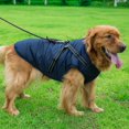 thumbnail image 2 of Pet Dog Jacket With Harness Windproof Winter Pet Dog Padded Coat Clothes, 2 of 6