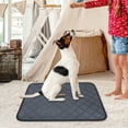thumbnail image 4 of TIELUTT Tapis pour Chiots avec Tapis pour Chiots Réutilisables Lavables pour & Chats Durables Étanches & Tapis d'Entraînement pour la Maison & le Voyage, 4 of 6