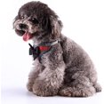 thumbnail image 3 of Dog Harness for Cats for Hiking Soft Air Mesh Vest for Small Dogs Cats (Red,M), 3 of 8