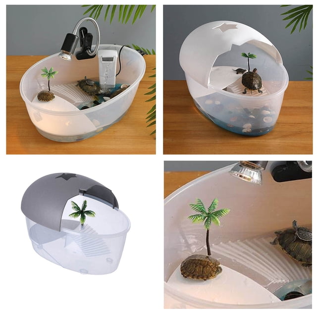 Petit Aquarium en Plastique pour Tortues, Bac pour Reptiles, Terrarium, Île de Pétillant avec Rampe