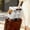 Grey, variant on Portable Outdoor Cat Tote Backpack for Hands-Free Travel with Breathable Mesh Window and Comfortable Secure Design for Cats and Small