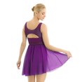 thumbnail image 3 of LiiYii Robe de Ballet Sans Manches en Maille Fluide pour Femmes Costume de Danse Lyrique pour Performance sur Scène Violet TG, 3 of 8
