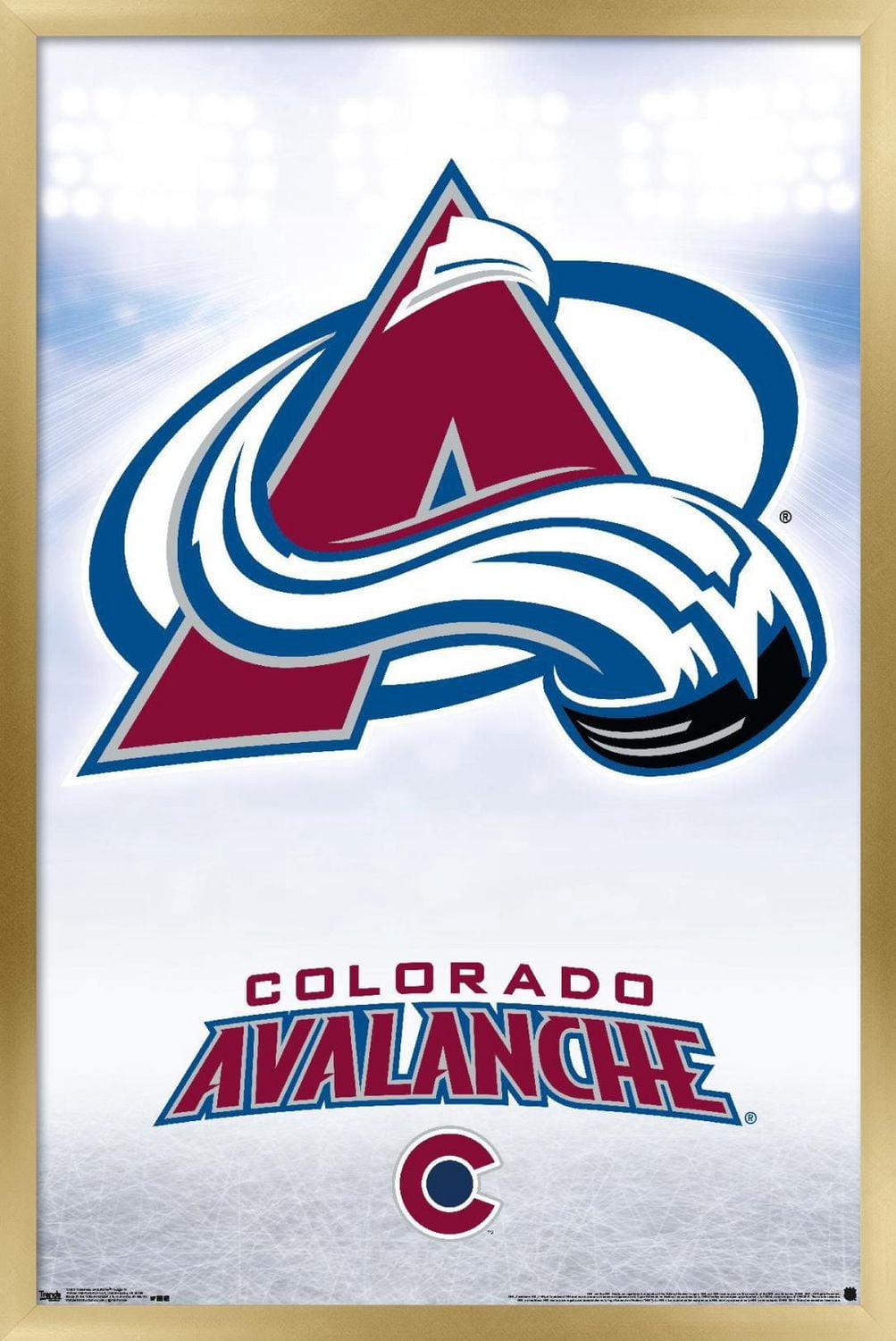Avalanche du Colorado de la LNH