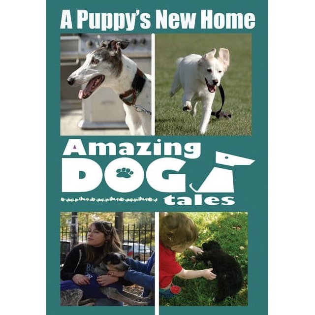 Amazing Dog Tales la Nouvelle Maison d'Un Chiot