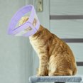 thumbnail image 2 of Surgery Recovery Kitten Collar Cat Anti-licking Cone Collar Cat Recovery Collar Kitten Collar, 2 of 8