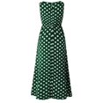 thumbnail image 4 of Robe Maxi 2025 pour Femmes Robe pour Dames Été Col Rond à Pois Imprimée Été Femmes Décontractée Sans Manches Ligne A Plissée Ajustée Robe d'Été pour Femmes Ample Froncée Fluide Décontractée Robes Débardeur, 4 of 5