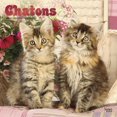 thumbnail image 1 of Chatons 2023 Square FRENCH BTCA, 1 of 8