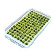 thumbnail image 2 of jifeng Artificial DIY Miniature Flower Cluster Grass Tufts Diorama Layout Scenery Model Light Yellow, 2 of 9