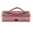 thumbnail image 1 of Haut-parleur Bluetooth sans fil Proscan avec bracelet en cuir, 1 of 1