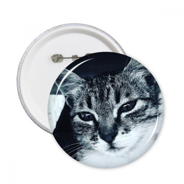 Animal Cool Gray Cat Photograph Round Pins Badge Button Emblem Accessory Decoration 5pcs