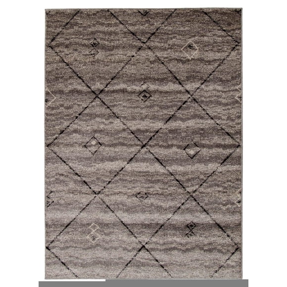 ECARPET Devos Grey/Brown Rug