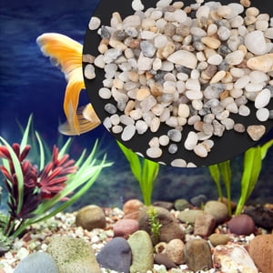 Éco-Amis DIY Accessoires Réservoir de poisson Sable Gravel, Sable de réservoir de poisson, Pour Aquarium de réservoir à poisson